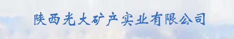 ʵҵ޹˾